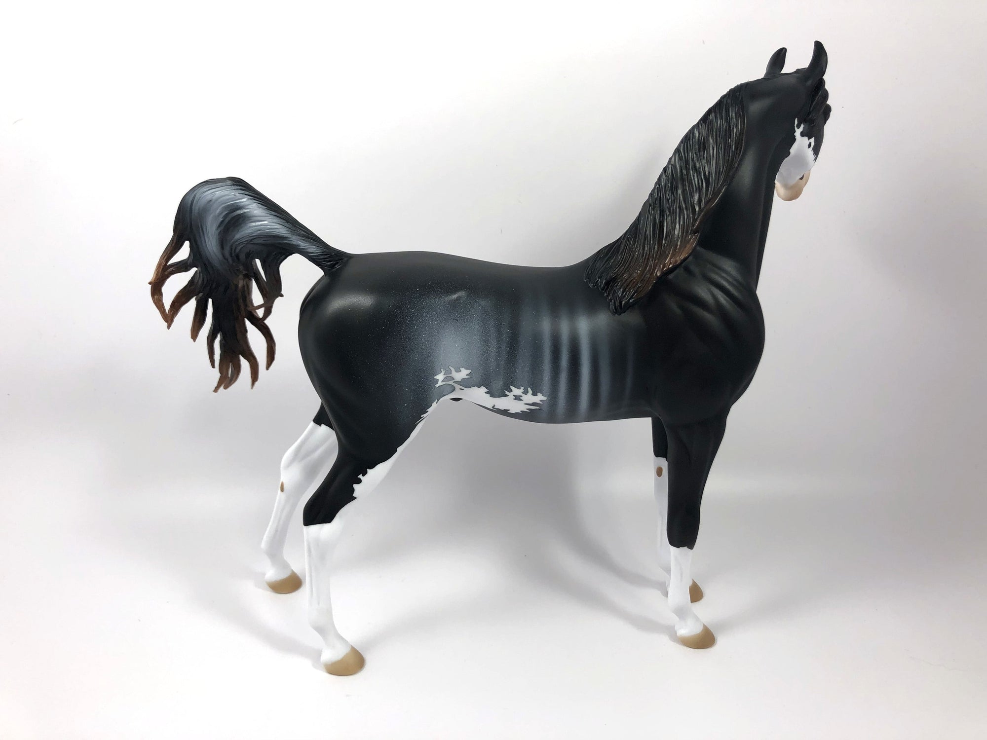 HOUNDSTOOTH-LE-15 ARABIAN CM RABICANO SHCF19