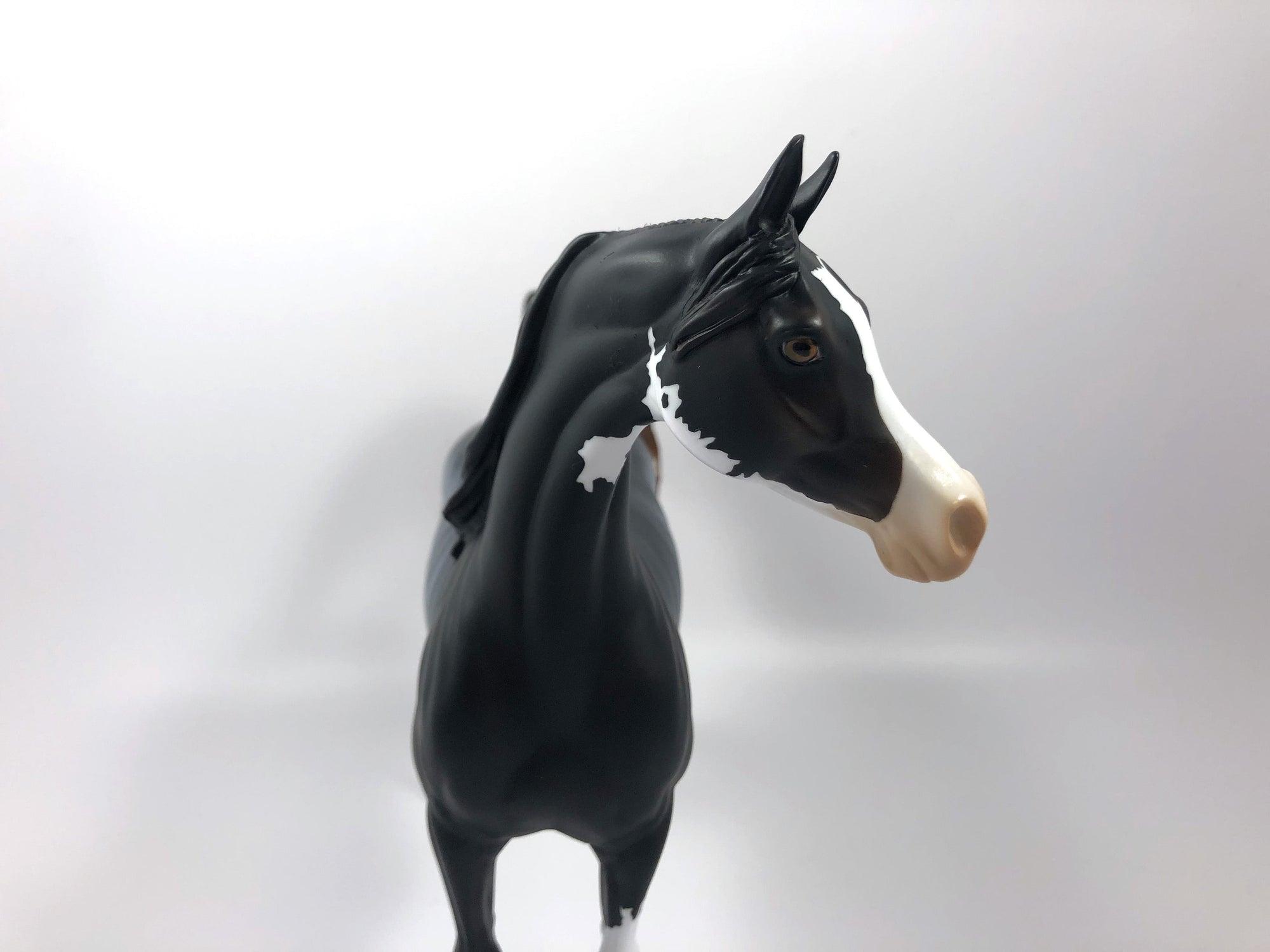 HOUNDSTOOTH-LE-15 ARABIAN CM RABICANO SHCF19