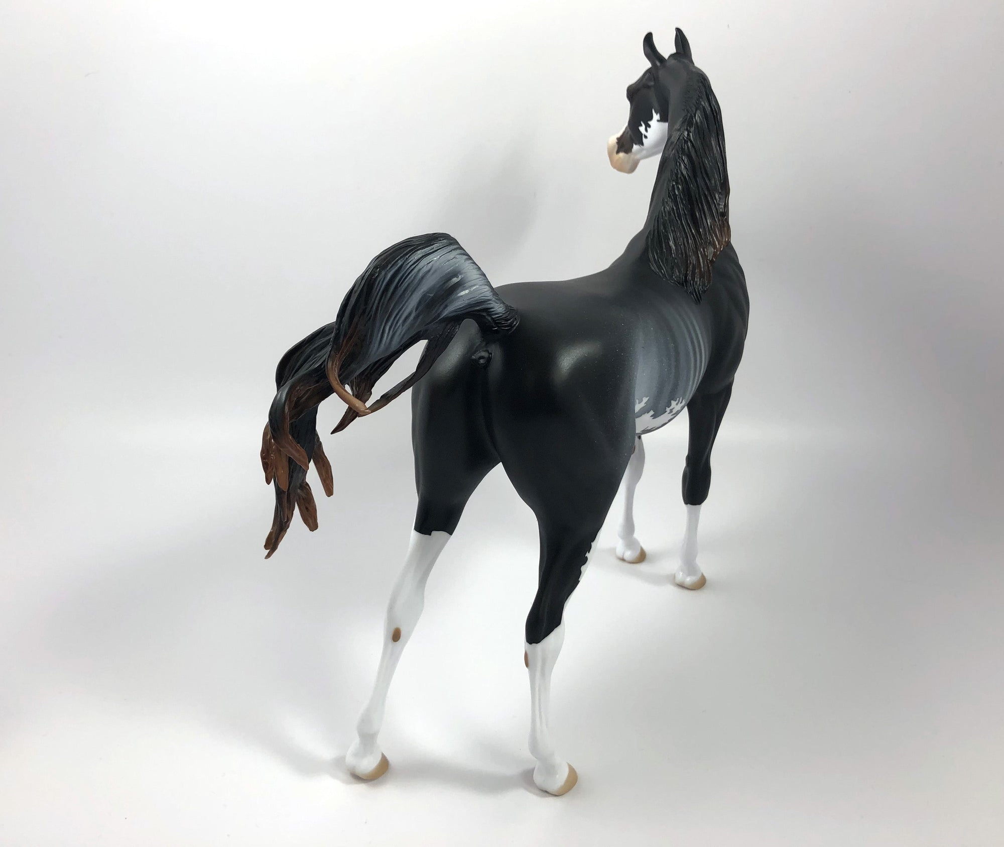 HOUNDSTOOTH-LE-15 ARABIAN CM RABICANO SHCF19