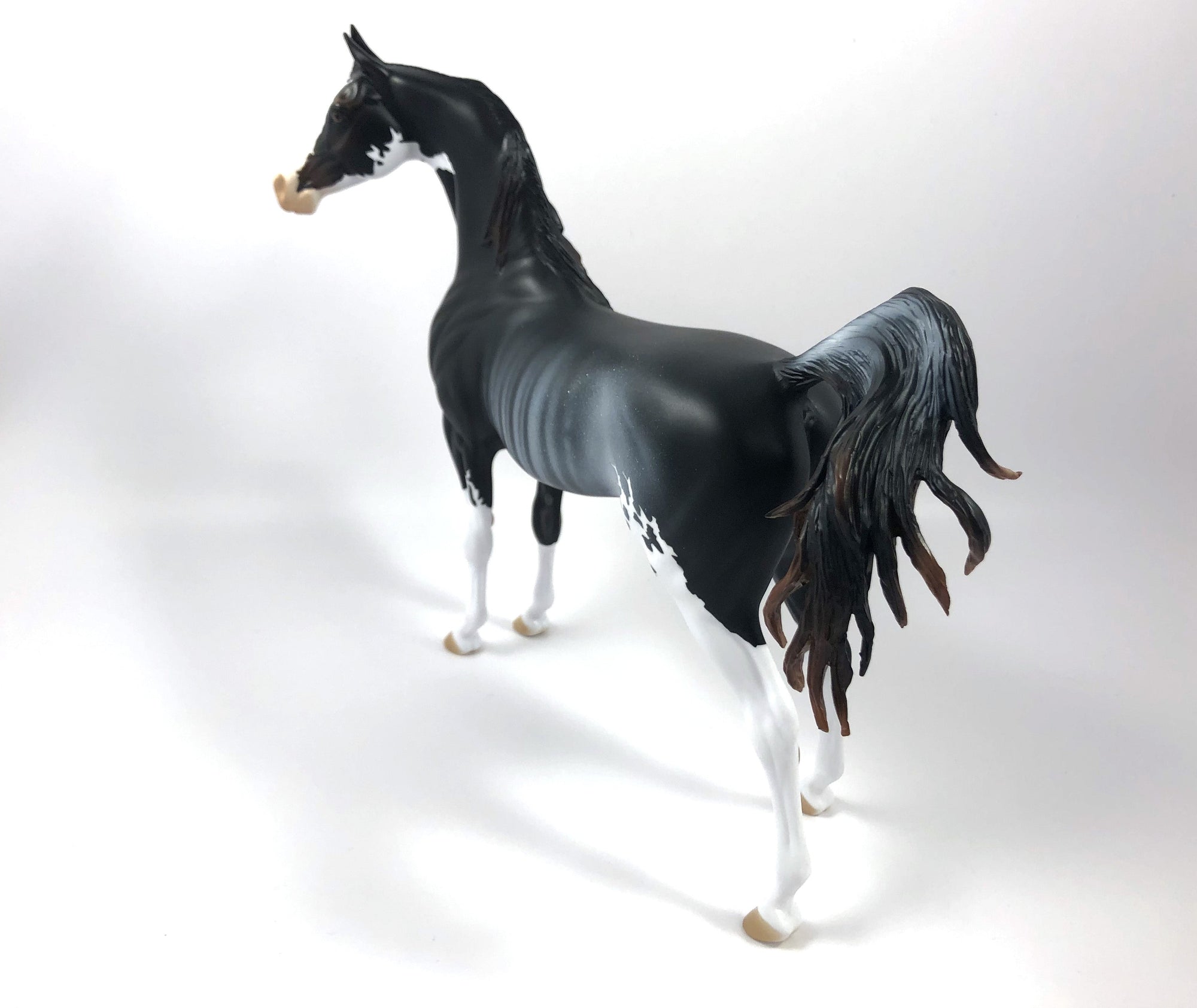 HOUNDSTOOTH-LE-15 ARABIAN CM RABICANO SHCF19