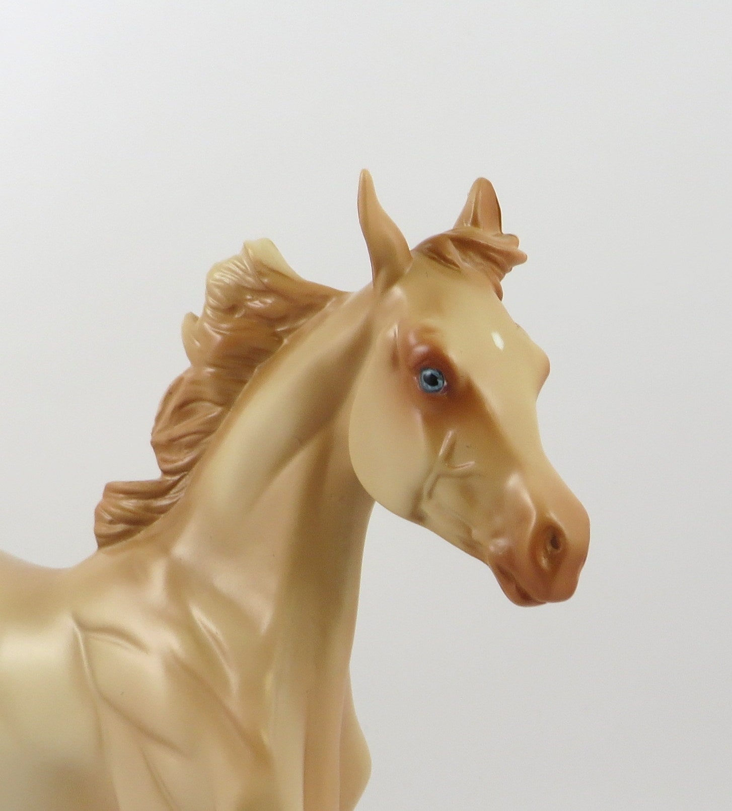 ARELLA-LE-11 PERLINO YEARLING MODEL HORSE LIVE SHOW MODEL EQ 19