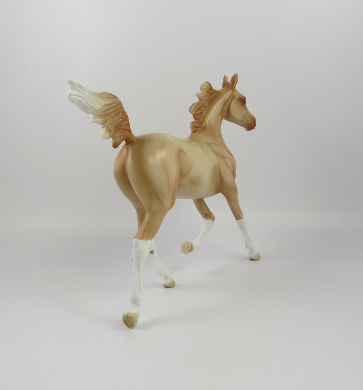 ARELLA-LE-11 PERLINO YEARLING MODEL HORSE LIVE SHOW MODEL EQ 19
