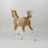ARELLA-LE-11 PERLINO YEARLING MODEL HORSE LIVE SHOW MODEL EQ 19