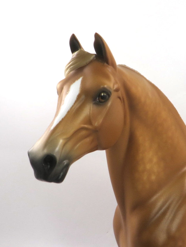 ARISTOCRATIC-OOAK DAPPLE CHESTNUT MORGAN MODEL HORSE 1/3/20