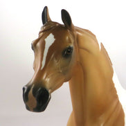 ATKINS GOLD-OOAK DAPPLE RED DUN PINTO ARABIAN MODEL HORSE 2/12/20