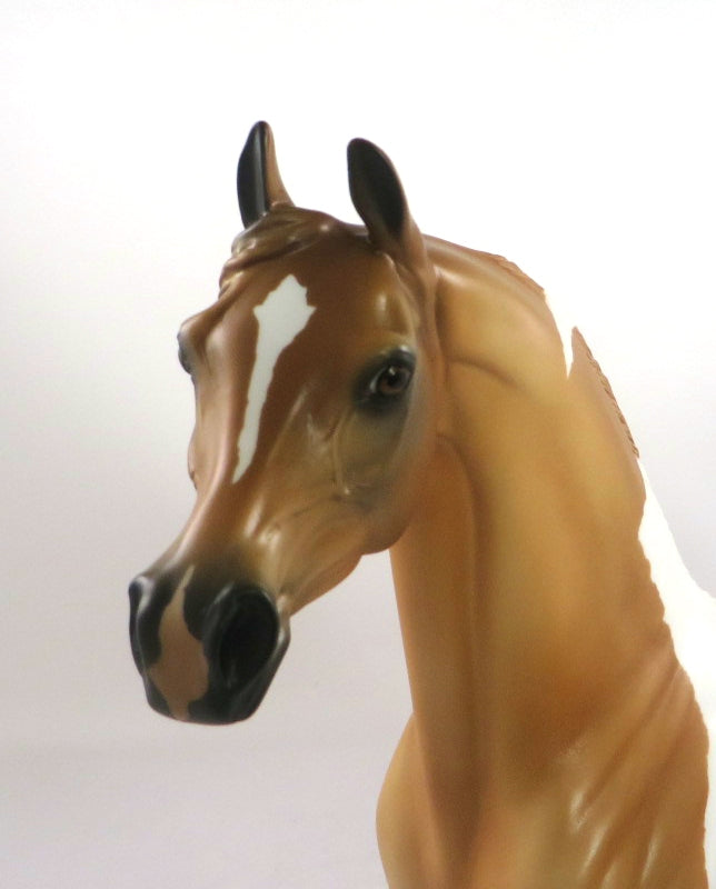 ATKINS GOLD-OOAK DAPPLE RED DUN PINTO ARABIAN MODEL HORSE 2/12/20