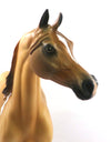 ATKINS GOLD-OOAK DAPPLE RED DUN PINTO ARABIAN MODEL HORSE 2/12/20