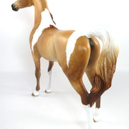 ATKINS GOLD-OOAK DAPPLE RED DUN PINTO ARABIAN MODEL HORSE 2/12/20