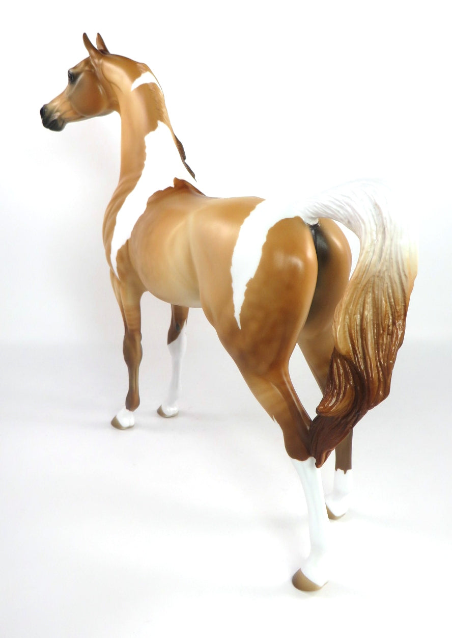 ATKINS GOLD-OOAK DAPPLE RED DUN PINTO ARABIAN MODEL HORSE 2/12/20