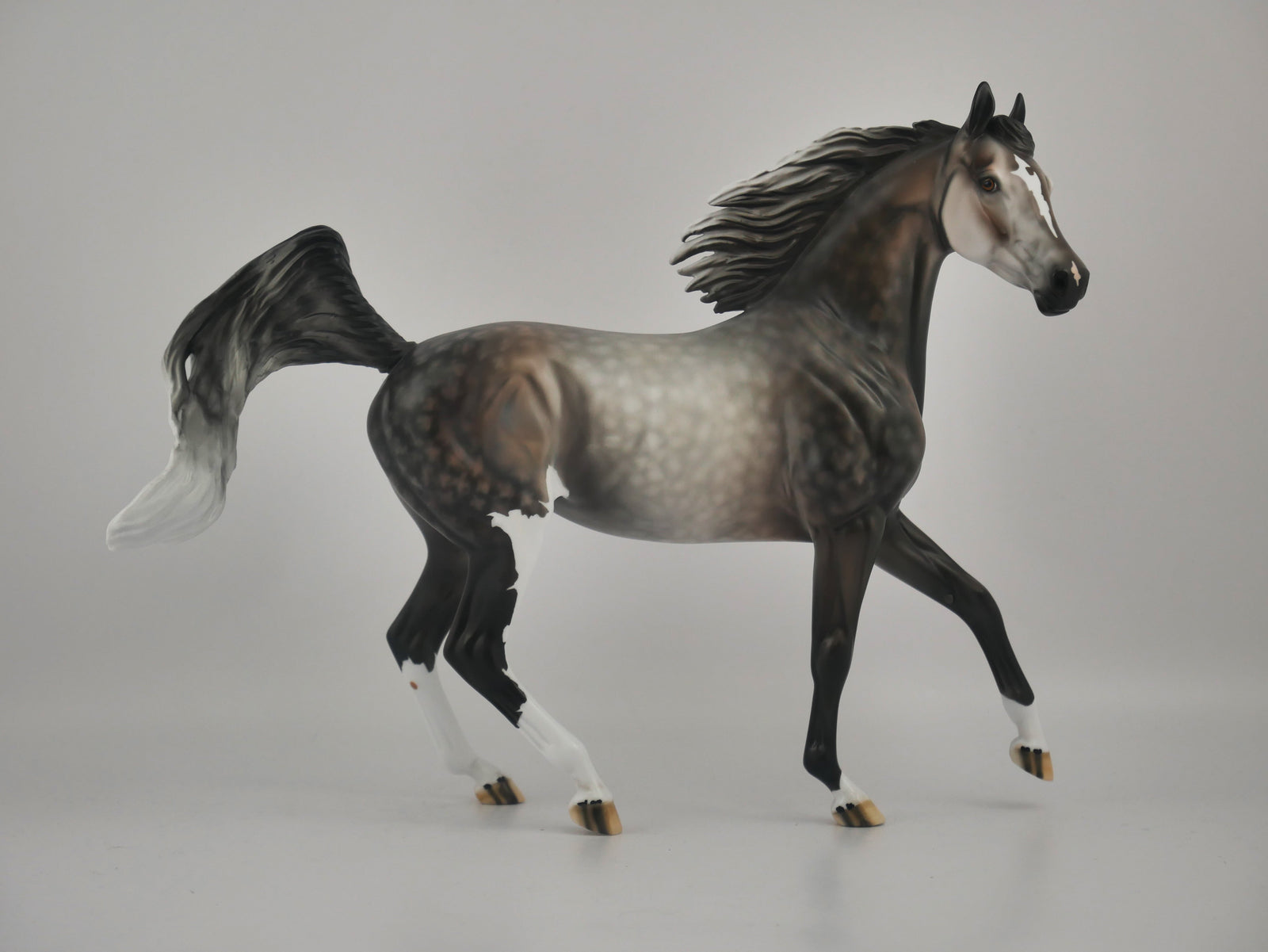 ATTITUDE IN GREY-OOAK DAPPLE GREY ARABIAN MARE BY DAWN QUICK