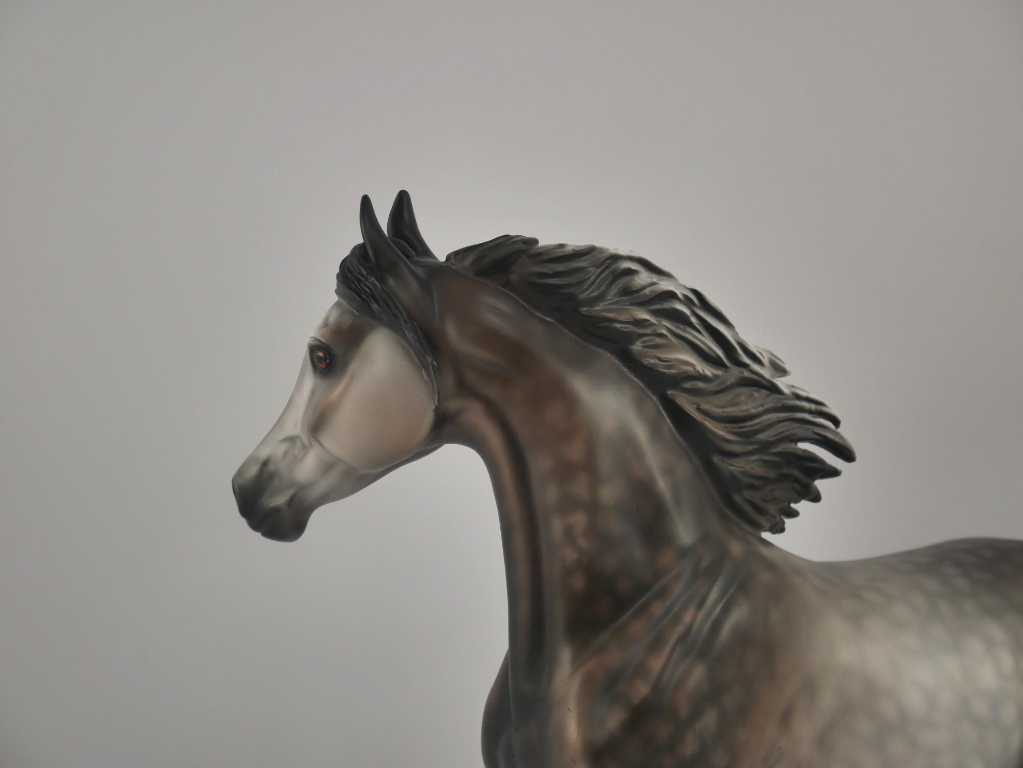 ATTITUDE IN GREY-OOAK DAPPLE GREY ARABIAN MARE BY DAWN QUICK