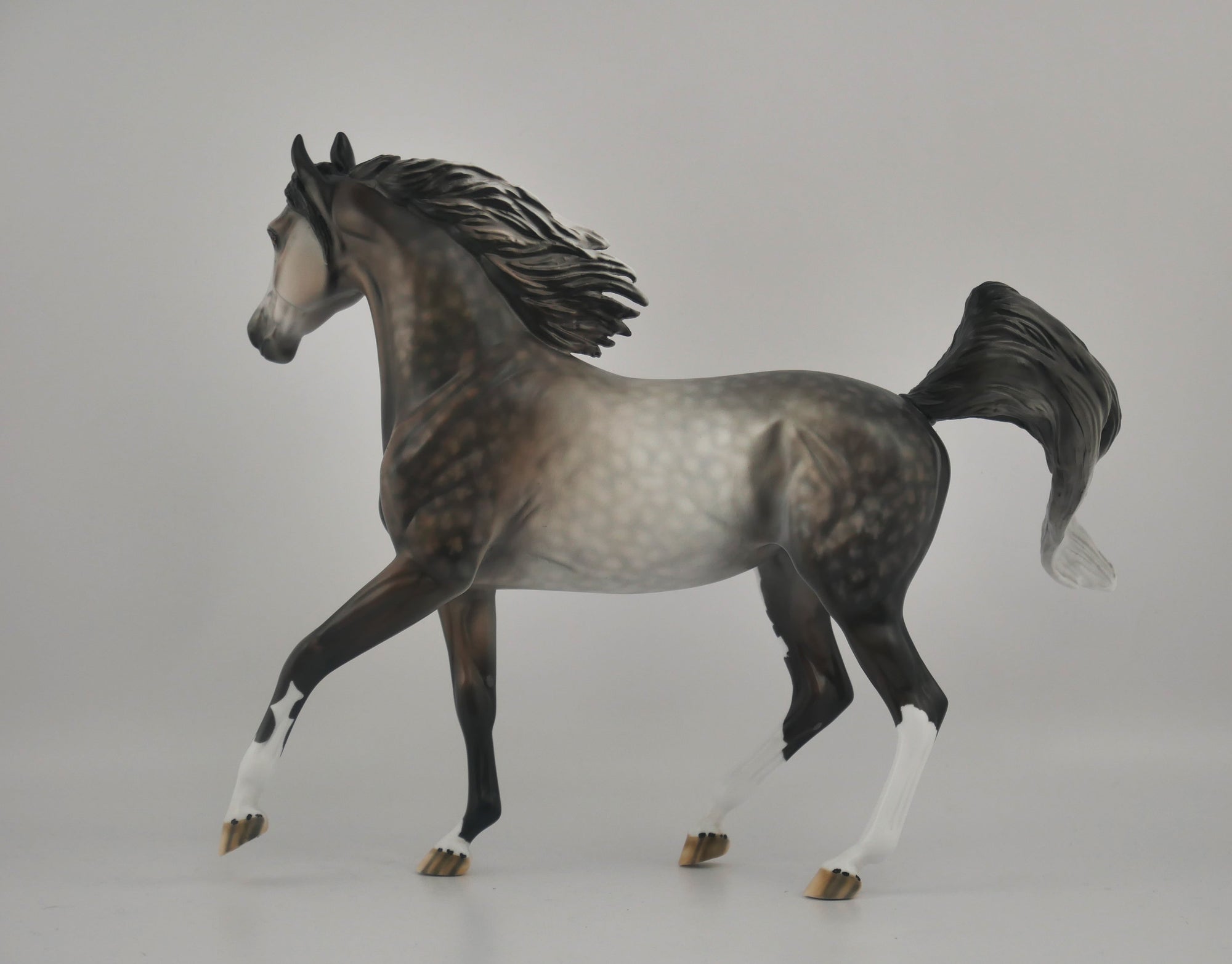 ATTITUDE IN GREY-OOAK DAPPLE GREY ARABIAN MARE BY DAWN QUICK