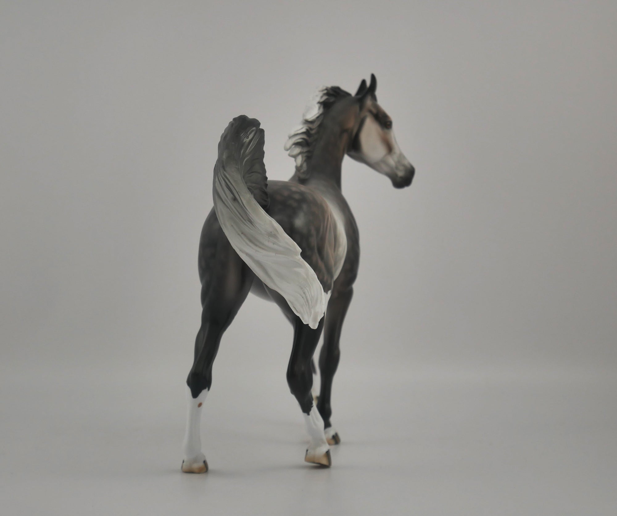 ATTITUDE IN GREY-OOAK DAPPLE GREY ARABIAN MARE BY DAWN QUICK