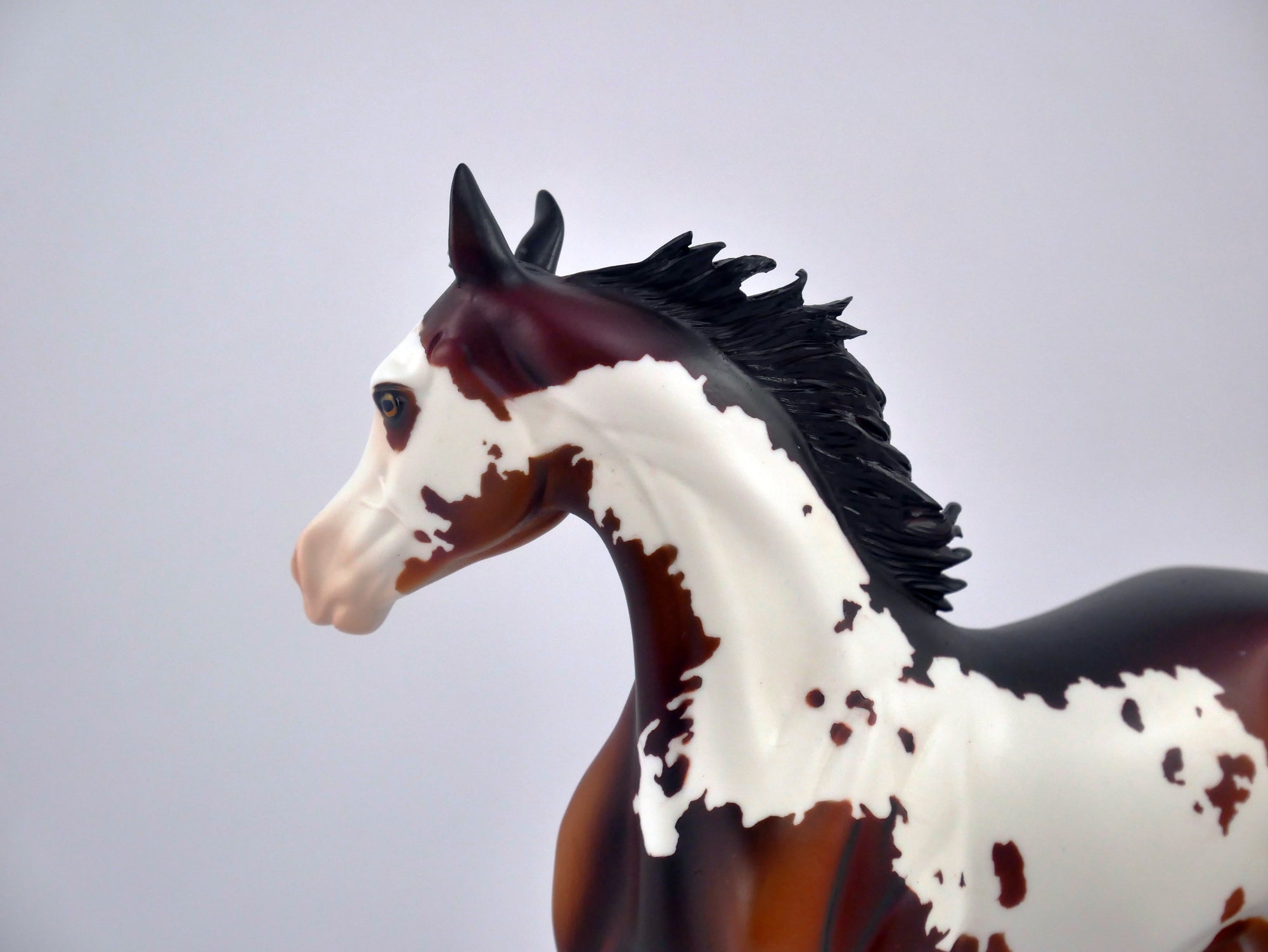 AURBURN SPLASH-OOAK BAY PINTO YEARLING BY DAWN QUICK