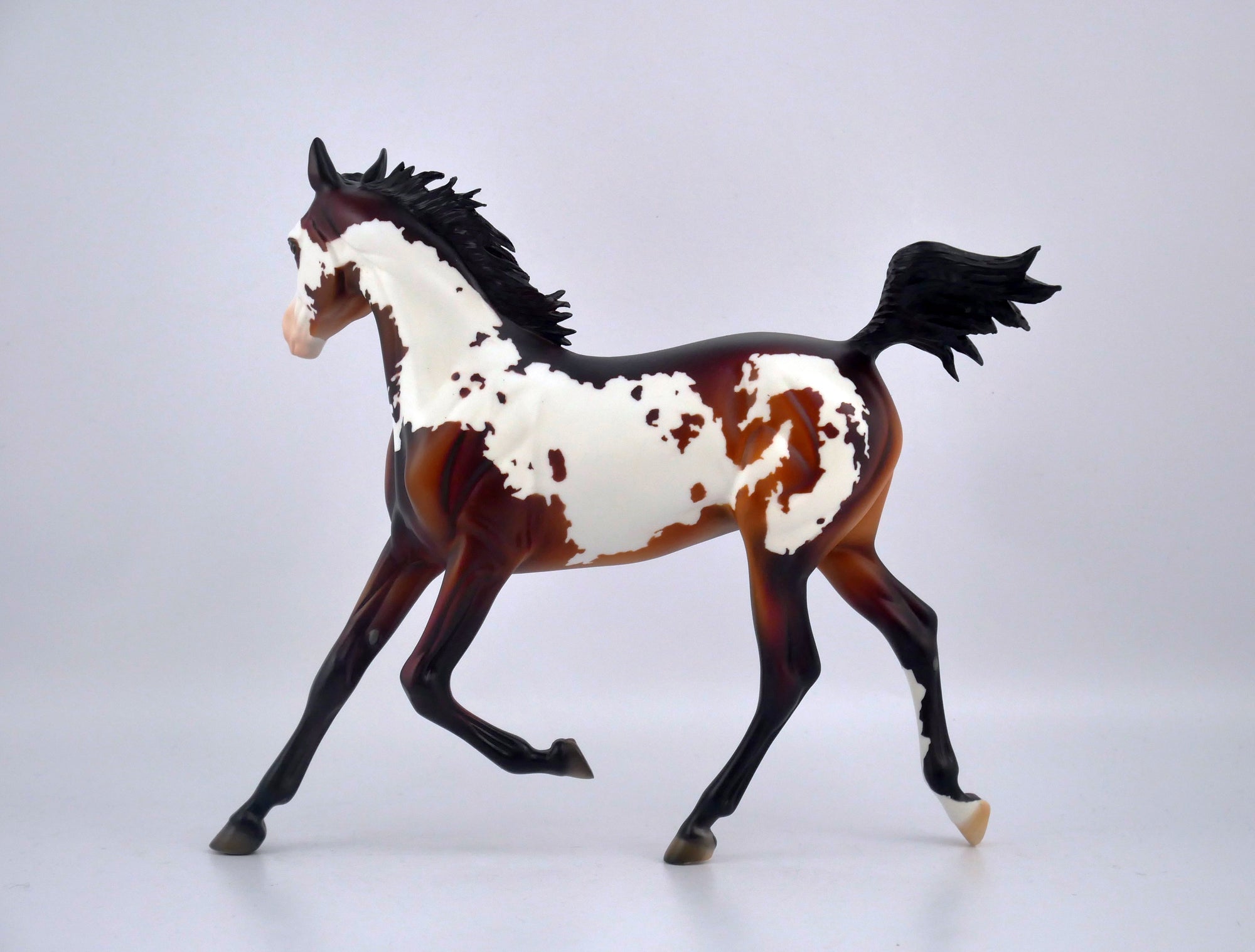 AURBURN SPLASH-OOAK BAY PINTO YEARLING BY DAWN QUICK