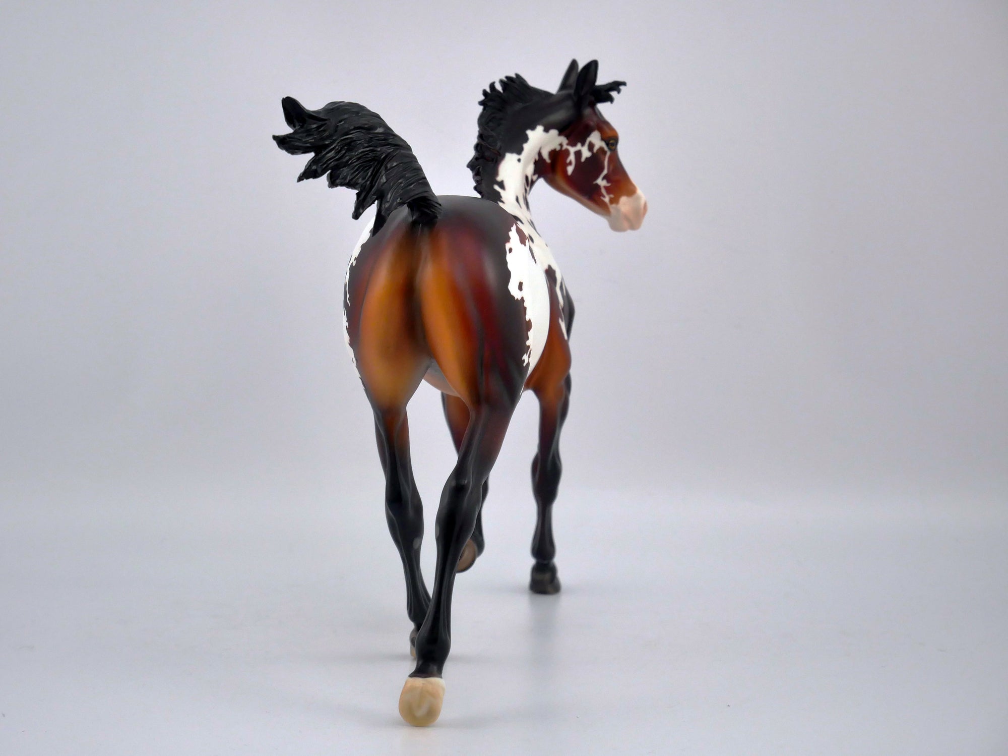 AURBURN SPLASH-OOAK BAY PINTO YEARLING BY DAWN QUICK