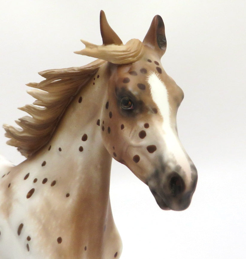 AuCourant- OOAK CHESTNUT APPALOOSA YEARLING BY SHERYL LEISURE 3/4/20