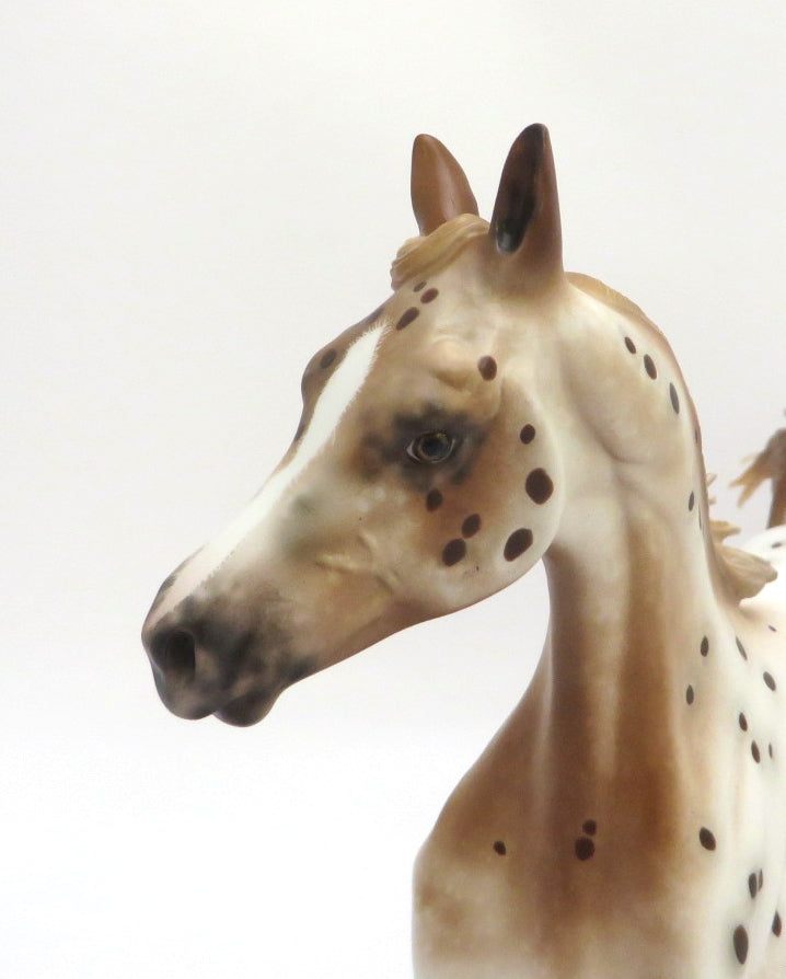 AuCourant- OOAK CHESTNUT APPALOOSA YEARLING BY SHERYL LEISURE 3/4/20