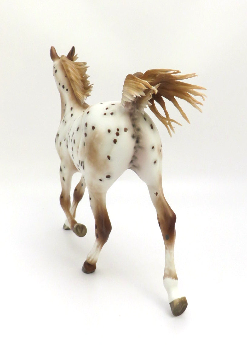 AuCourant- OOAK CHESTNUT APPALOOSA YEARLING BY SHERYL LEISURE 3/4/20