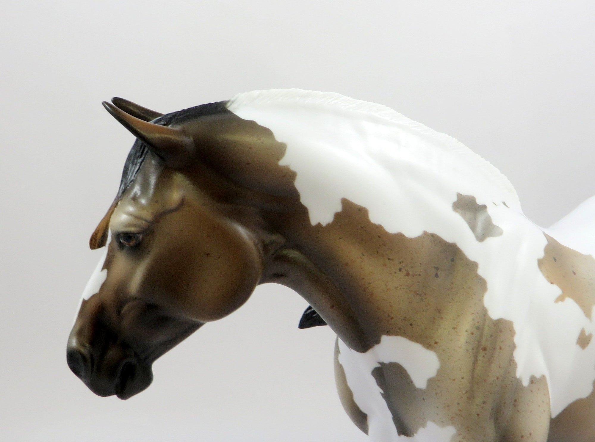 AUGUSTA-OOAK BAY ROAN HEAVY DRAFTER MODEL HORSE EQ 19