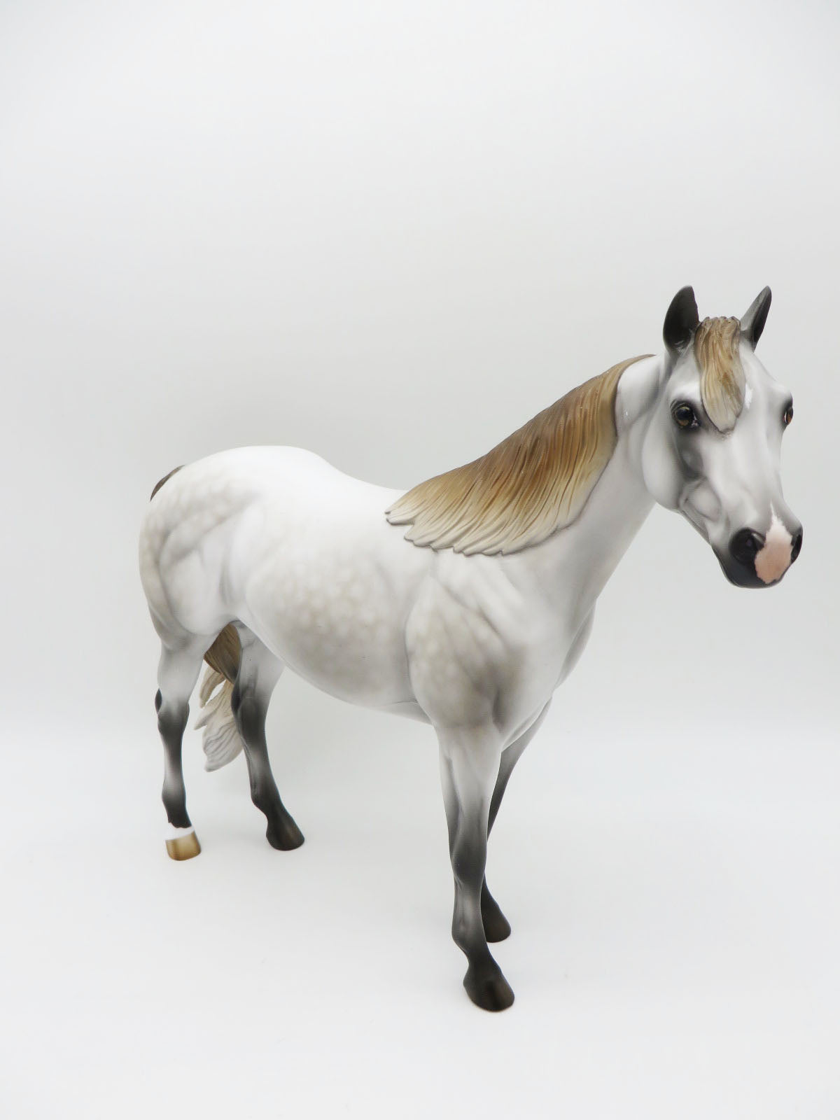 Autumn Harvest Glow - OOAK - Fleabitten Dapple Grey Ideal Stock Horse Painted By Jess Hamill  - MM22