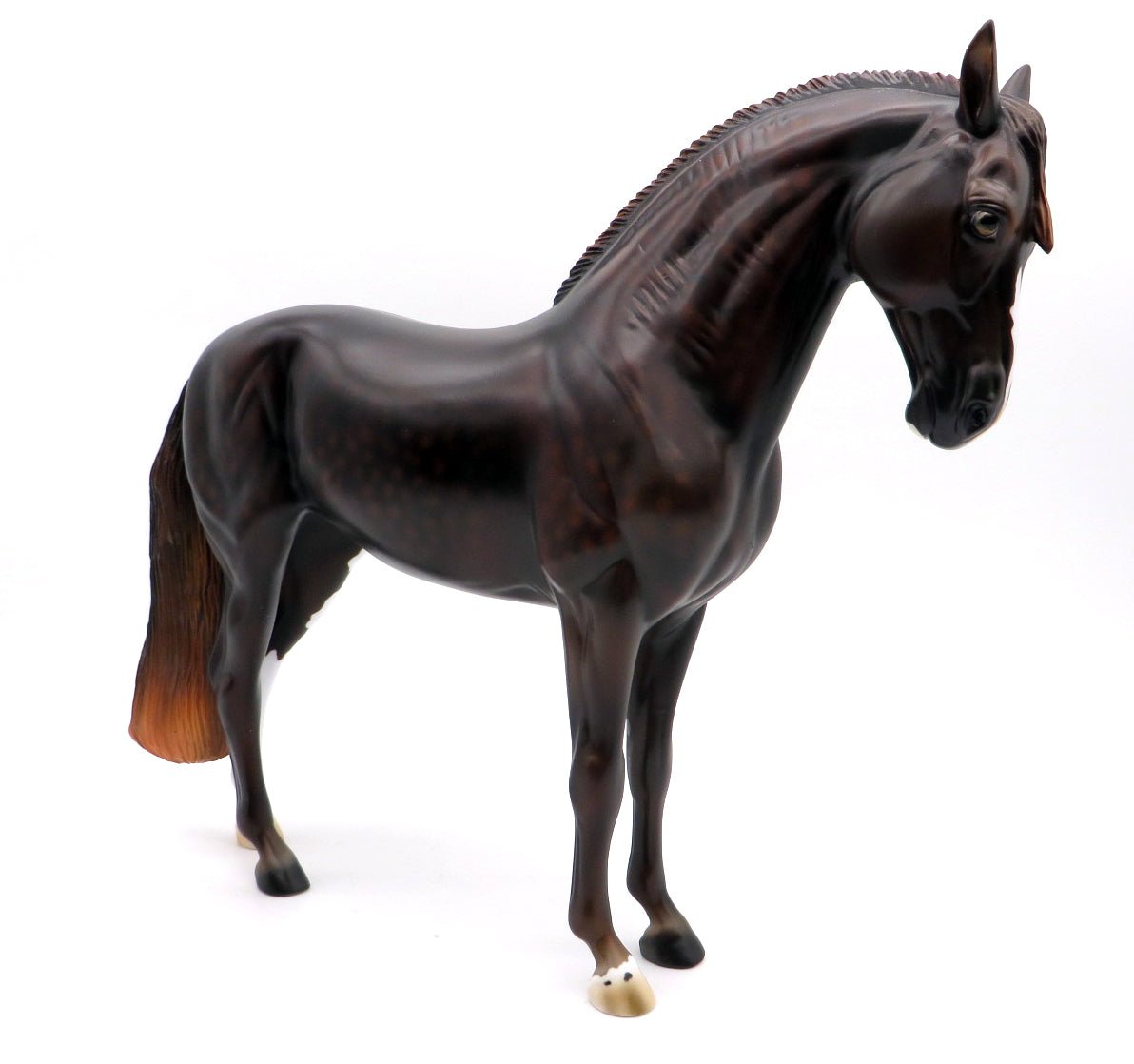 Autumn Spirit LE-5 Dapple Chestnut Andalusian 9/16/21