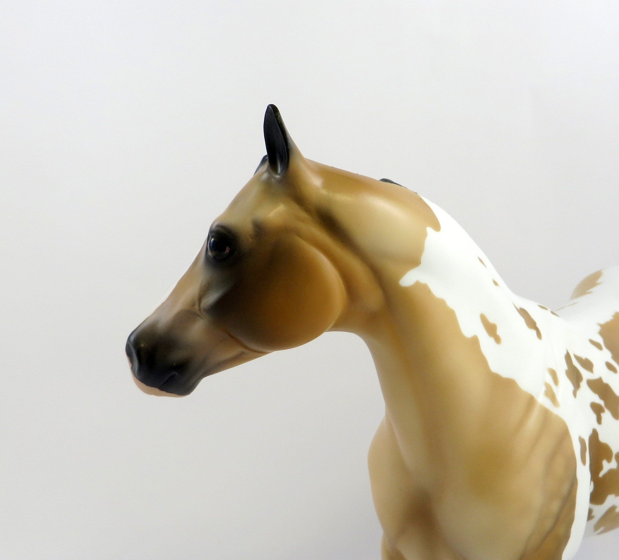 AVALON-OOAK BUCKSKIN TOBIANO ISH MODEL HORSE EQ 19