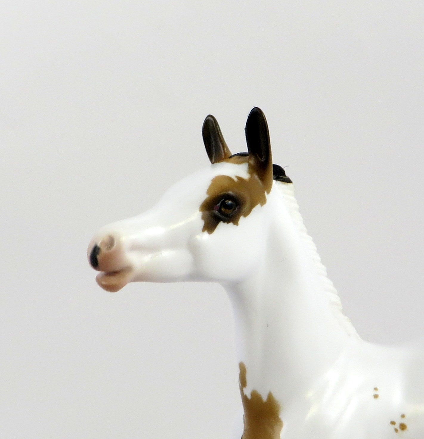 AYMON-OOAK SOOTY PALOMINO ARABIAN FOAL MODEL HORSE EQ 19