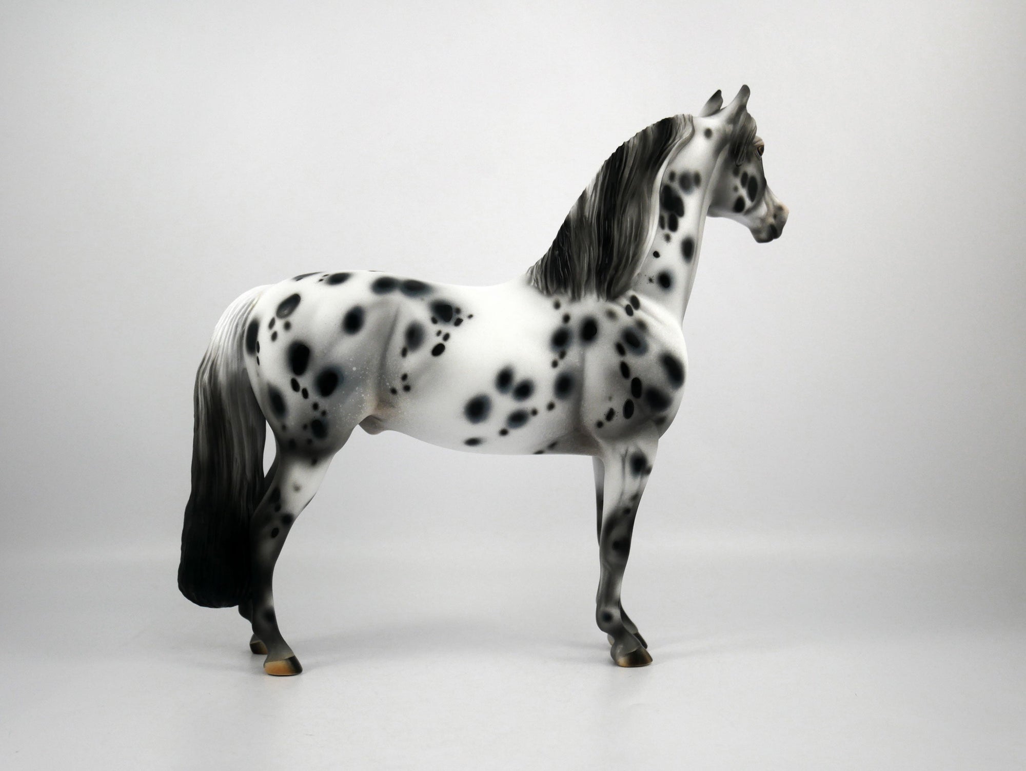 Bad Company-OOAK Appaloosa Morgan 1/8/21