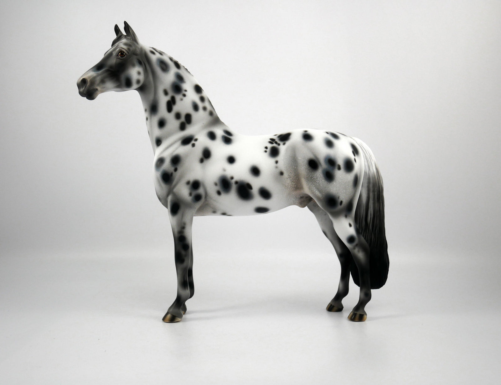 Bad Company-OOAK Appaloosa Morgan 1/8/21