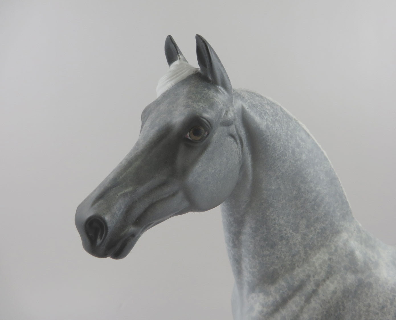 BANSHEE-OOAK GREY/WHITE MORGAN BY AL KATT MM19