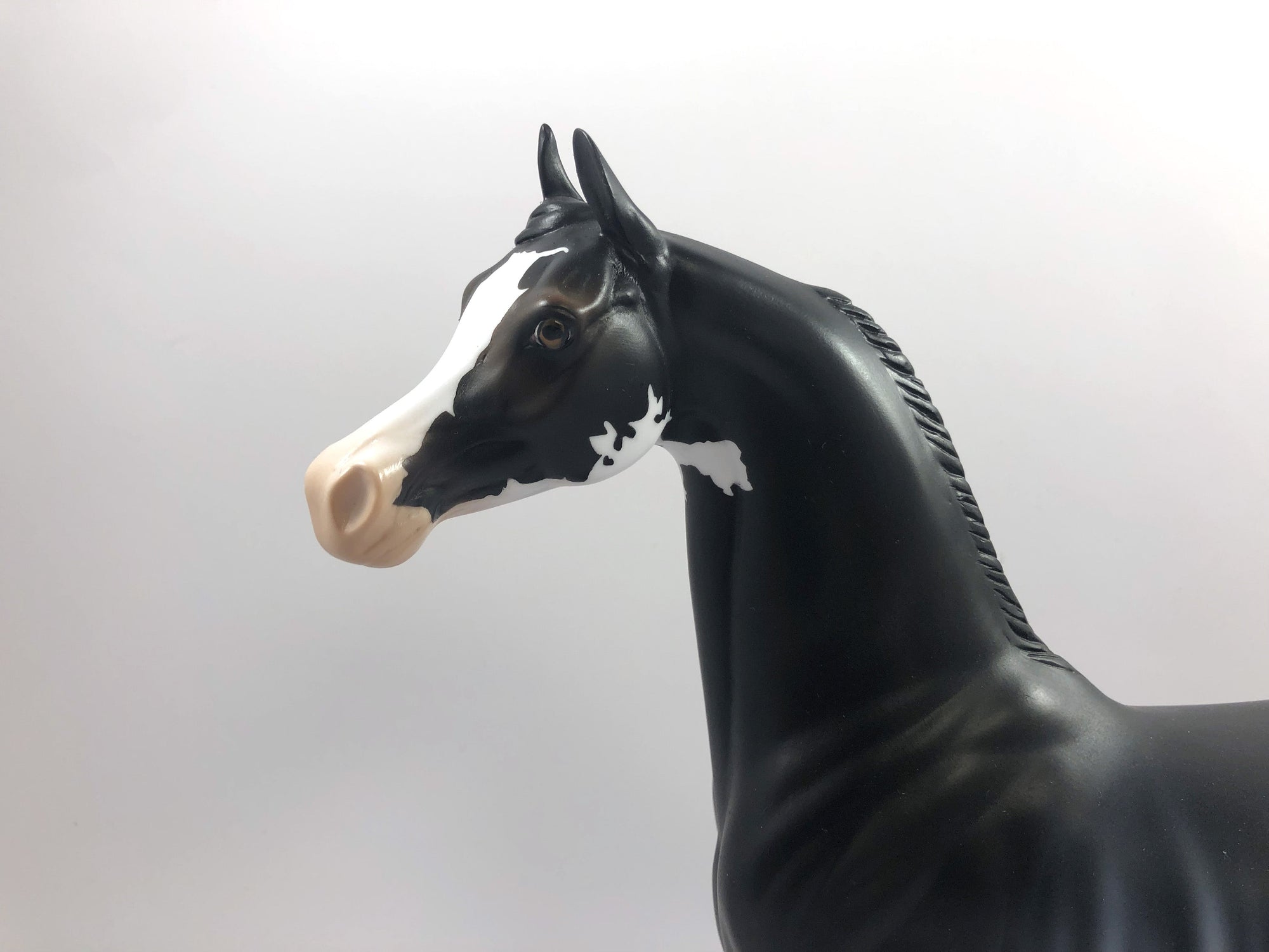 HOUNDSTOOTH-LE-15 RABICANO ARABIAN MODEL HORSE SHCF 2019