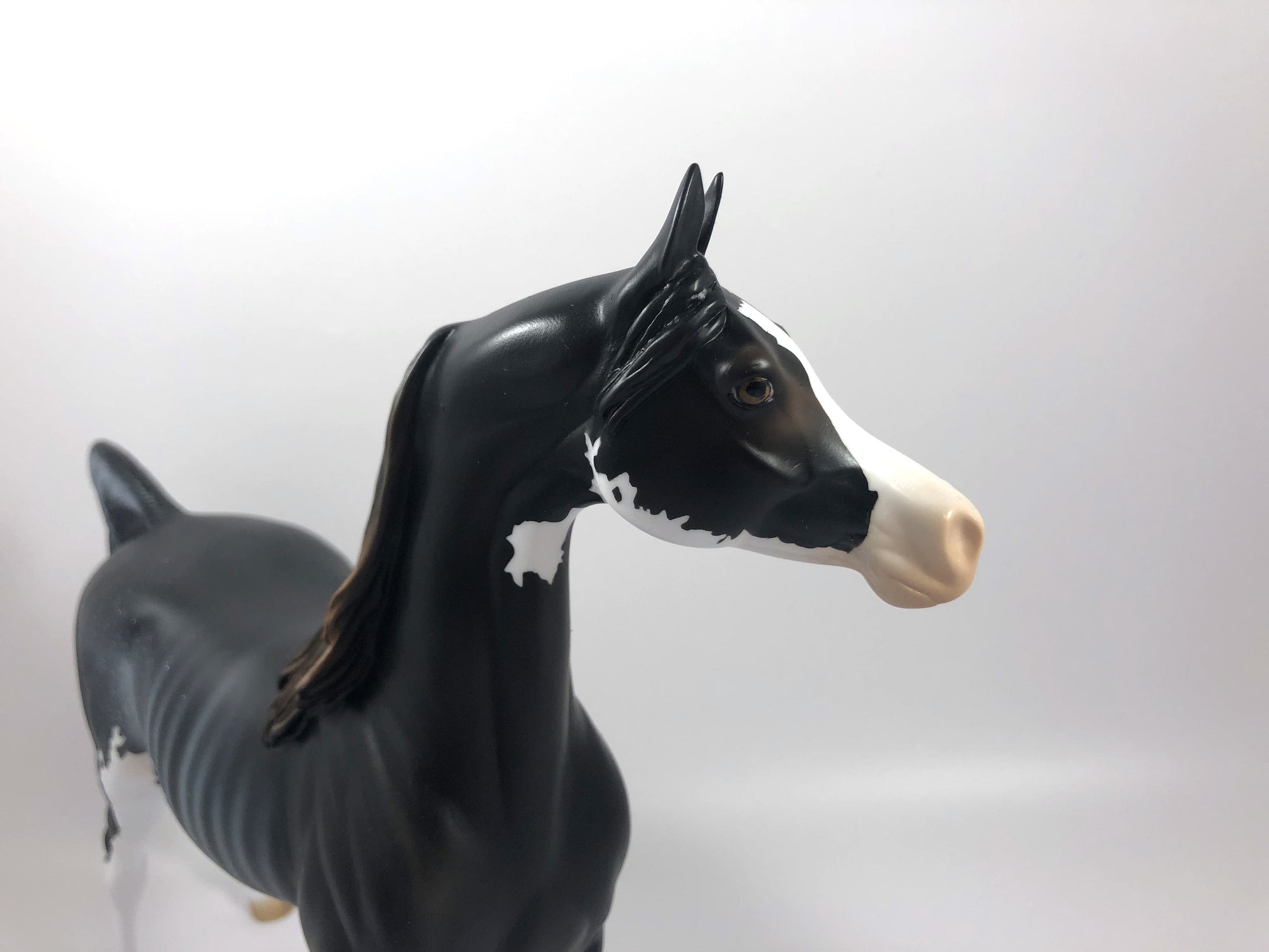 HOUNDSTOOTH-LE-15 RABICANO ARABIAN MODEL HORSE SHCF 2019