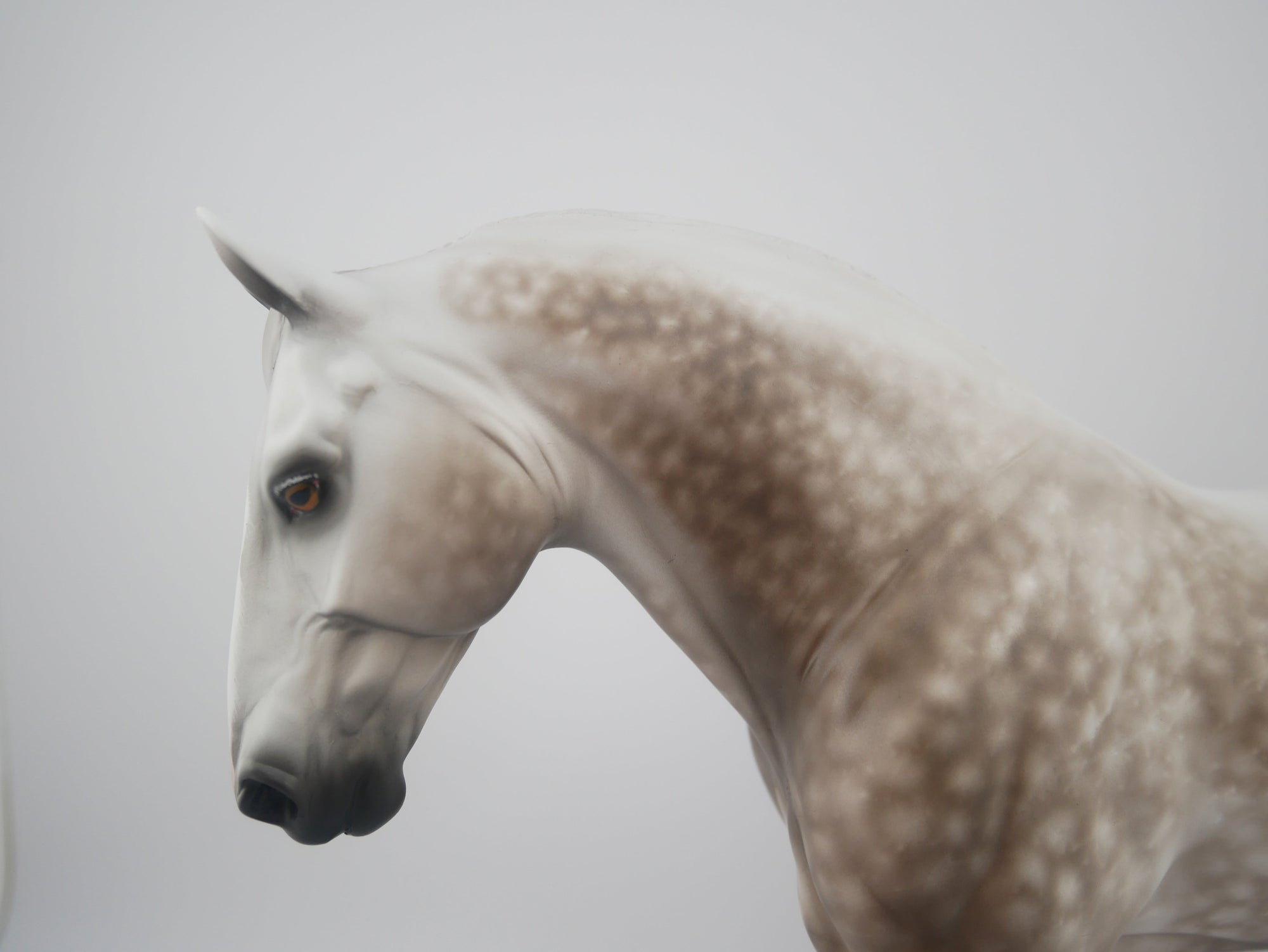 Barouque-OOAK Dapple Grey Irish Draft By Sheryl Leisure