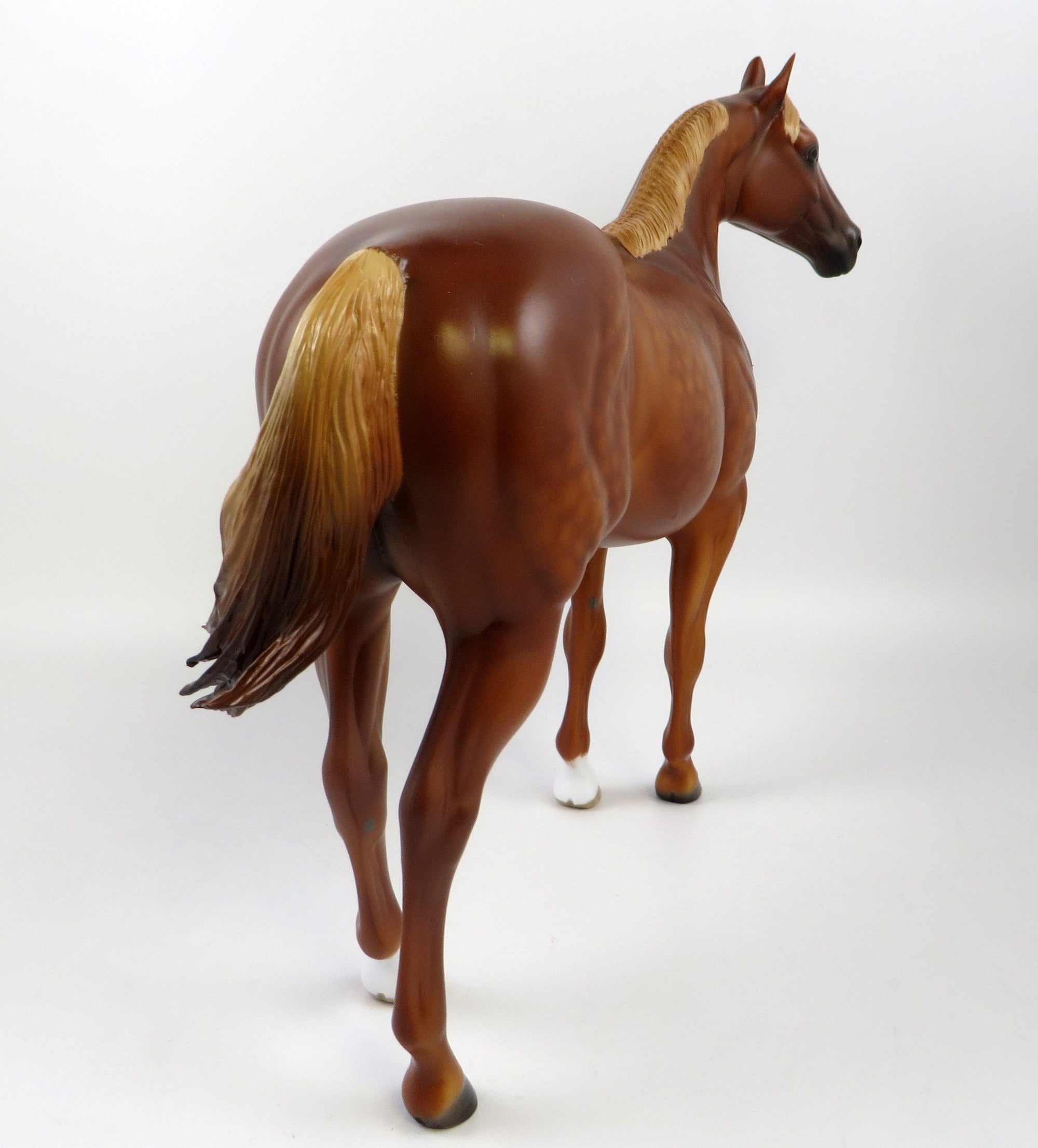 BAST-OOAK DAPPLE CHESTNUT ISH EQ 2019