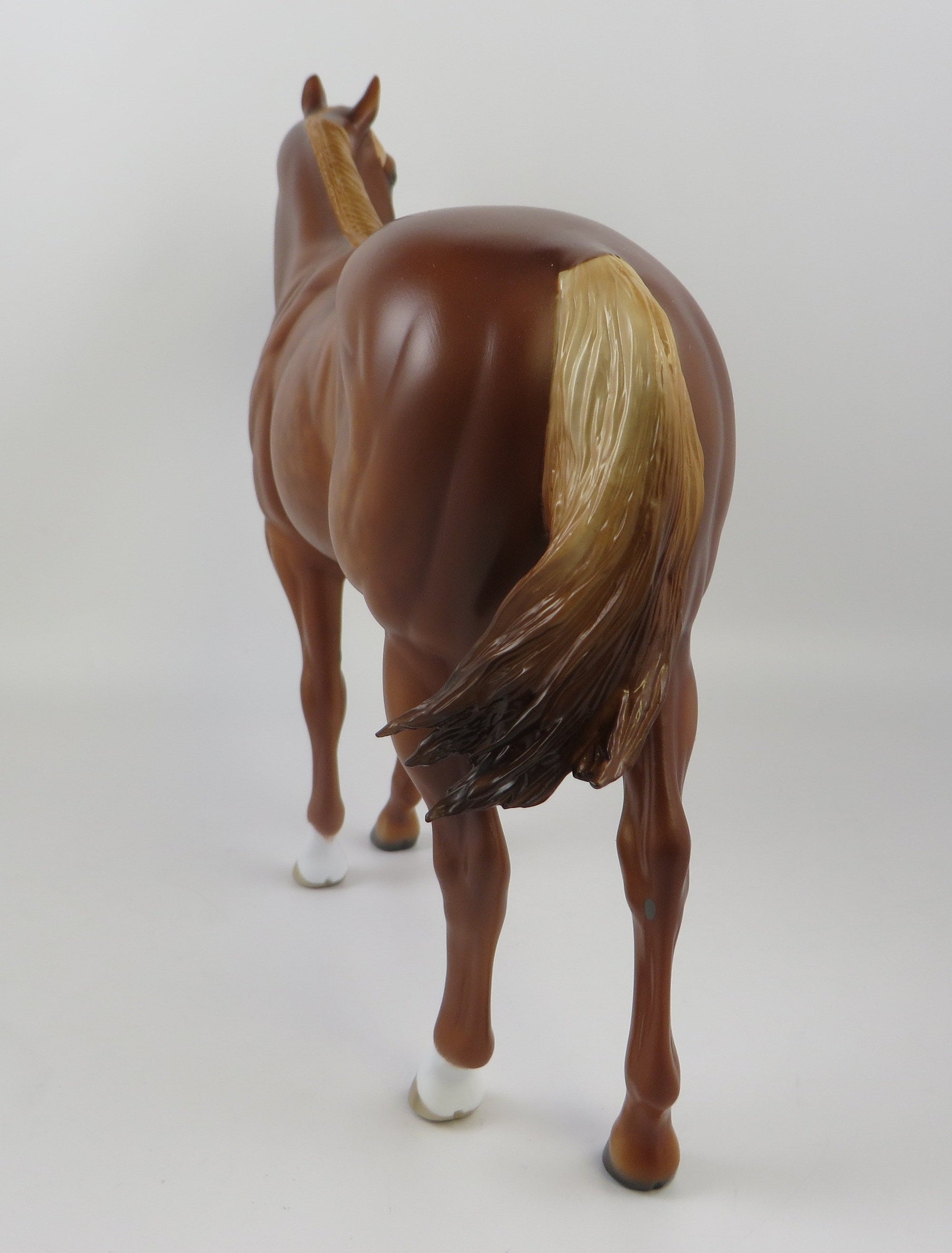 BAST-OOAK DAPPLE CHESTNUT ISH EQ 2019