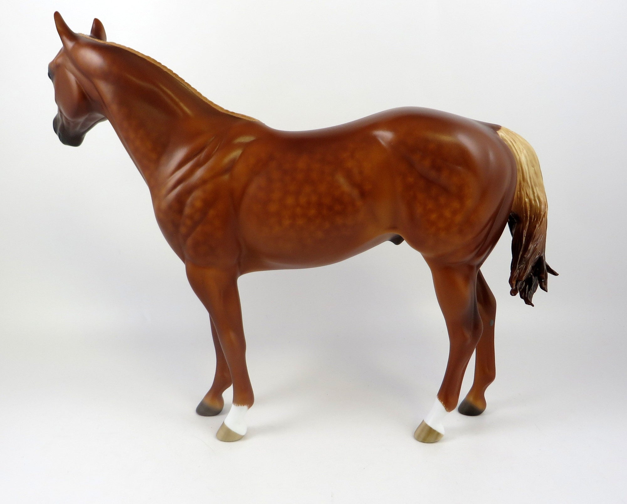 BAST-OOAK DAPPLE CHESTNUT ISH EQ 2019