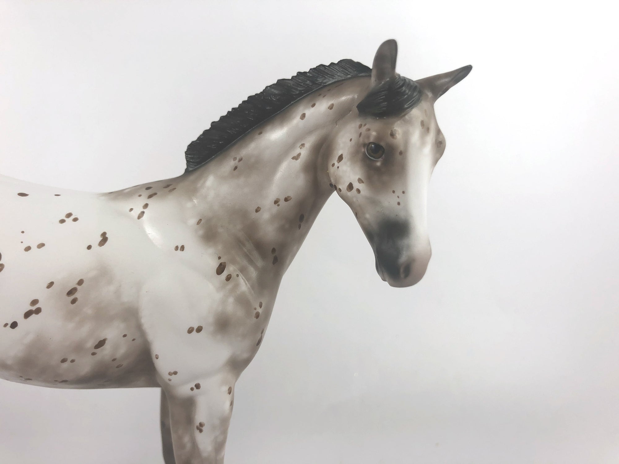 MAKIN ME BATTY - OOAK BROWN APPY WEANLING MODEL HORSE BY SHERYL LEISURE MM19