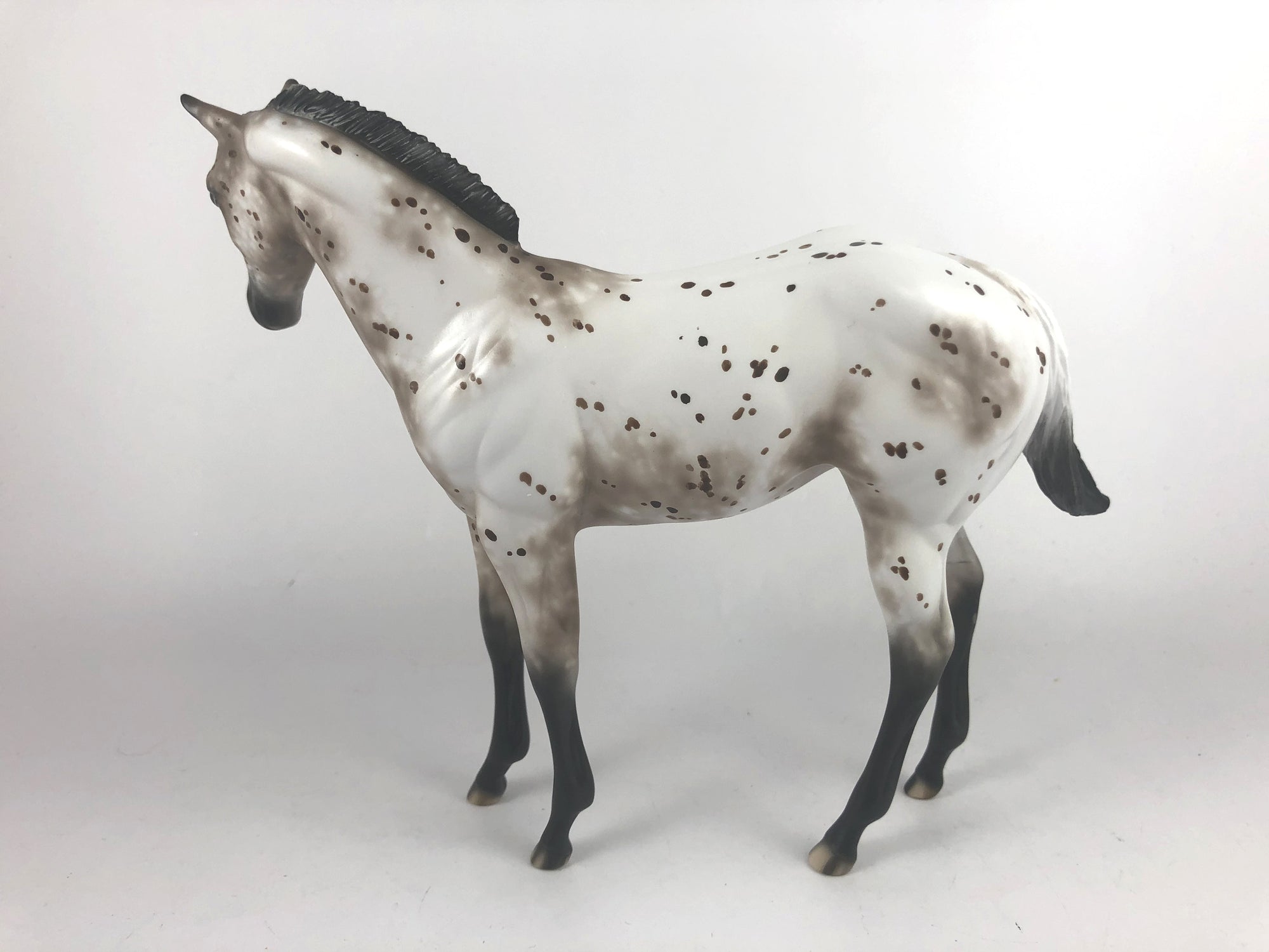 MAKIN ME BATTY - OOAK BROWN APPY WEANLING MODEL HORSE BY SHERYL LEISURE MM19