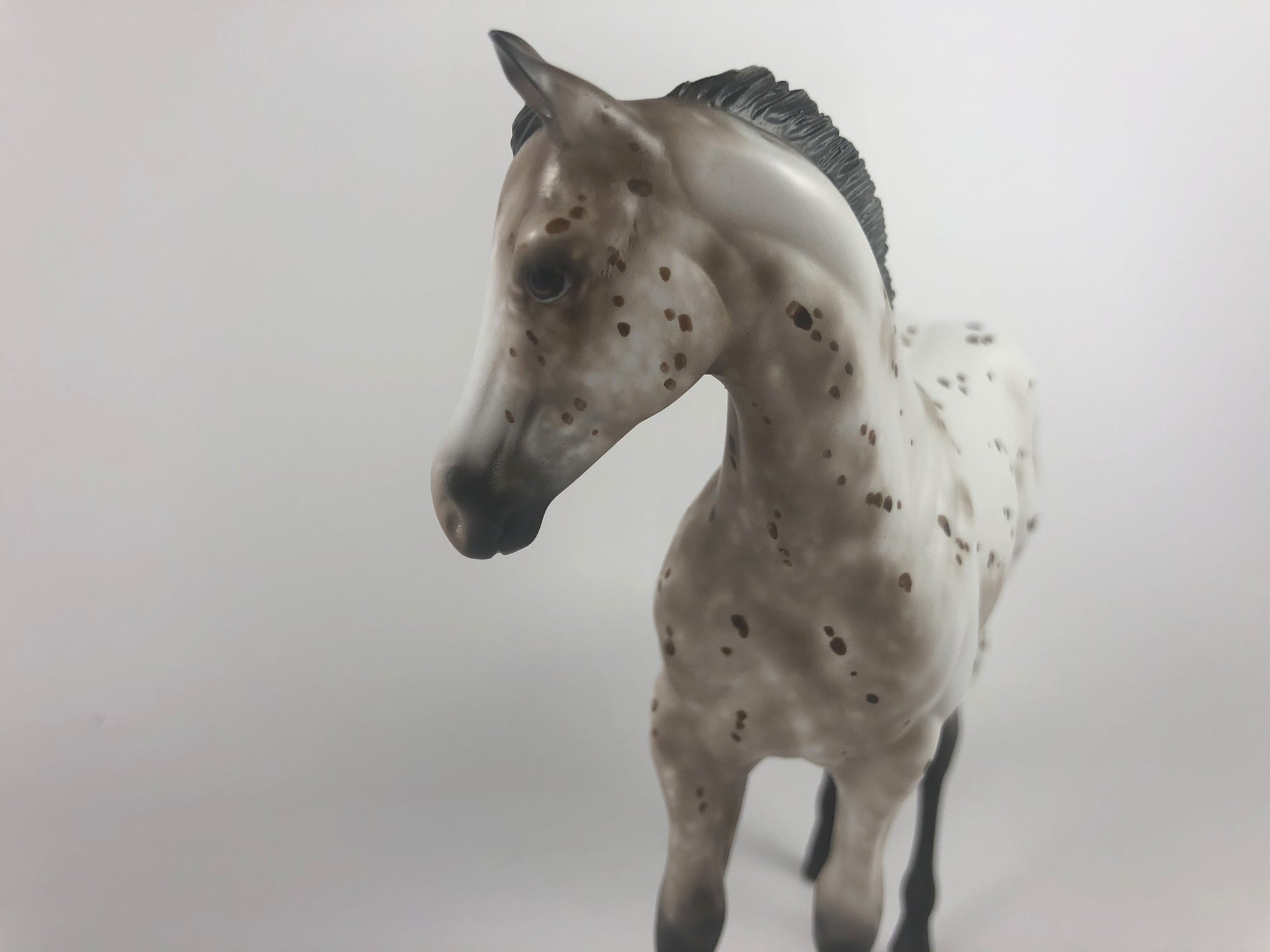 MAKIN ME BATTY - OOAK BROWN APPY WEANLING MODEL HORSE BY SHERYL LEISURE MM19