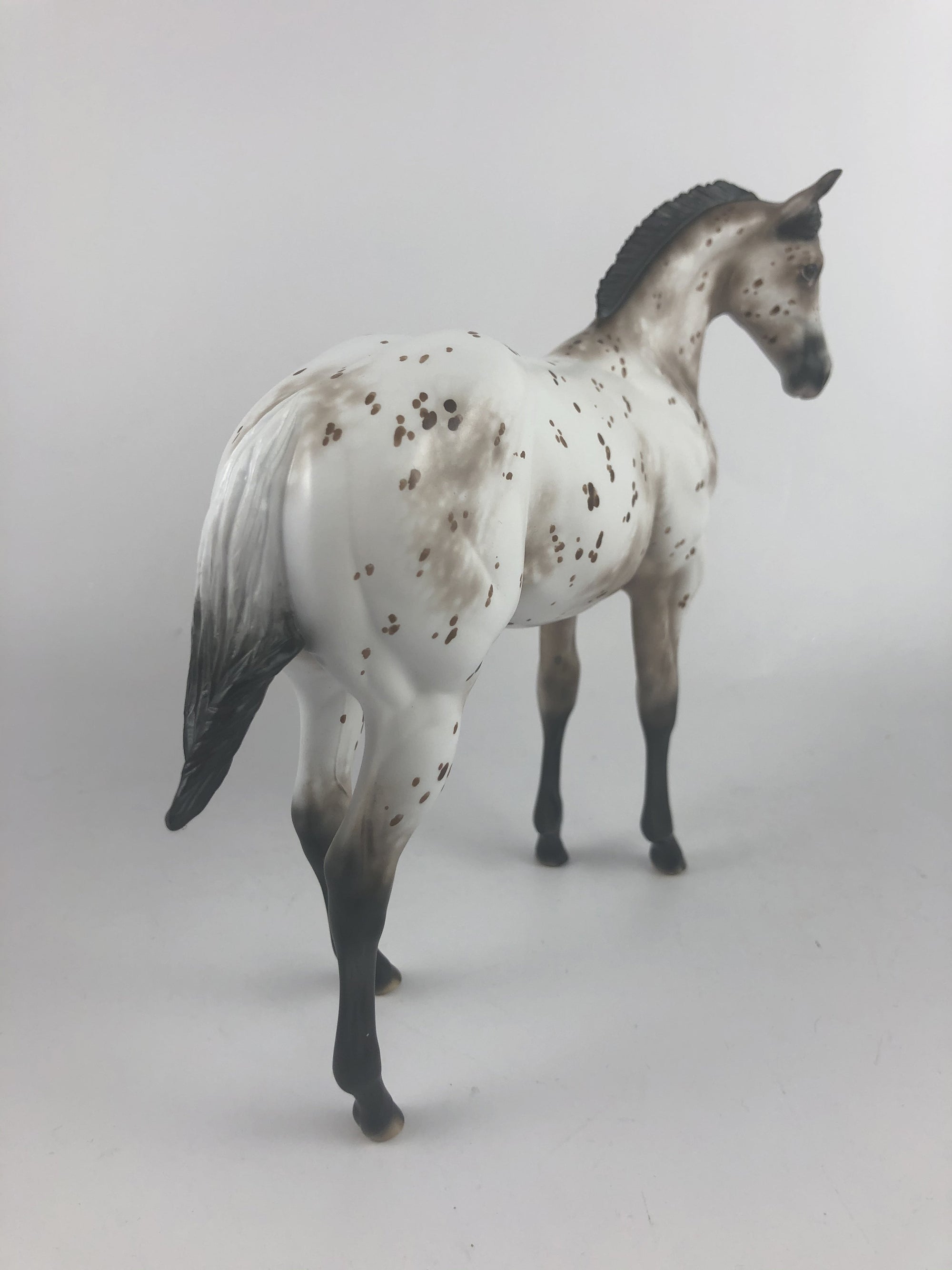 MAKIN ME BATTY - OOAK BROWN APPY WEANLING MODEL HORSE BY SHERYL LEISURE MM19