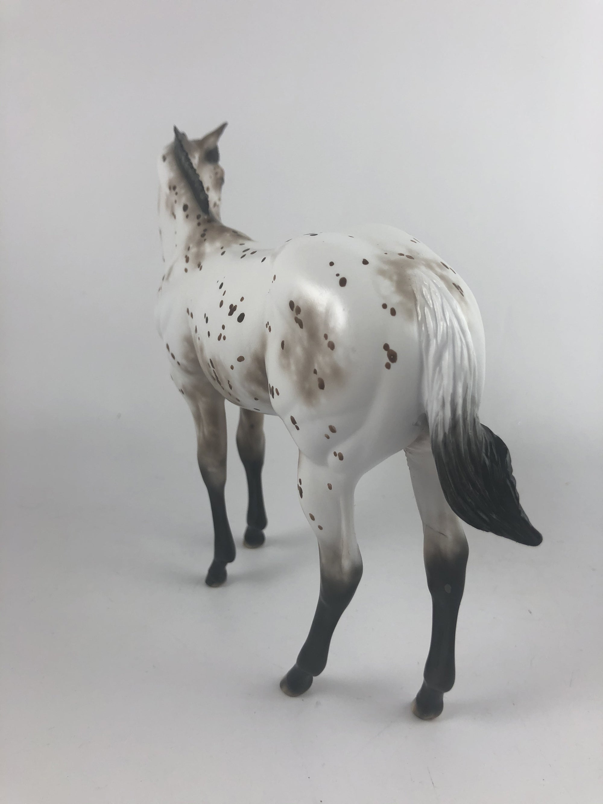 MAKIN ME BATTY - OOAK BROWN APPY WEANLING MODEL HORSE BY SHERYL LEISURE MM19