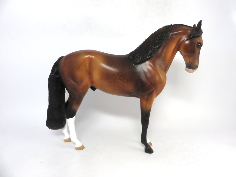 OVERTIME- LE-8 BAY ANDALUSIAN BY AUDREY DIXON SB19