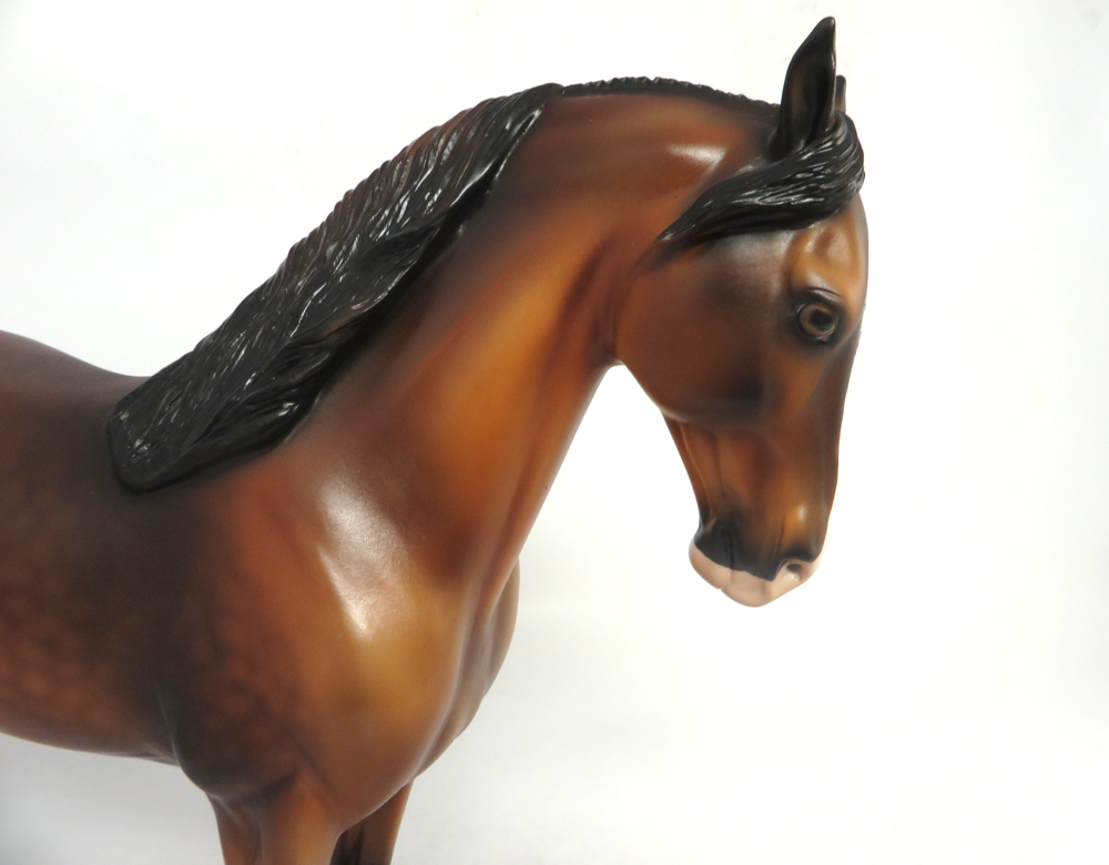 OVERTIME- LE-8 BAY ANDALUSIAN BY AUDREY DIXON SB19