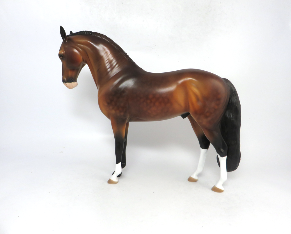 OVERTIME- LE-8 BAY ANDALUSIAN BY AUDREY DIXON SB19