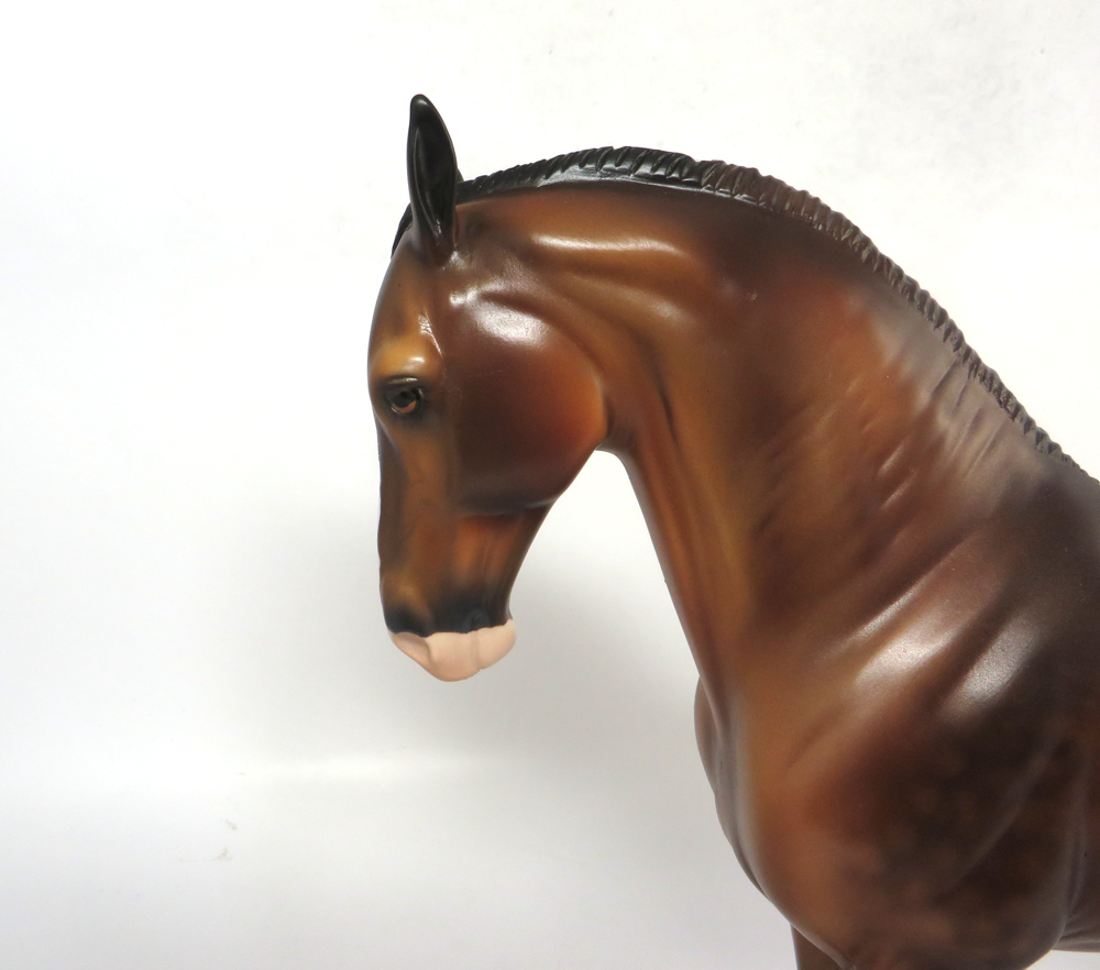 OVERTIME- LE-8 BAY ANDALUSIAN BY AUDREY DIXON SB19