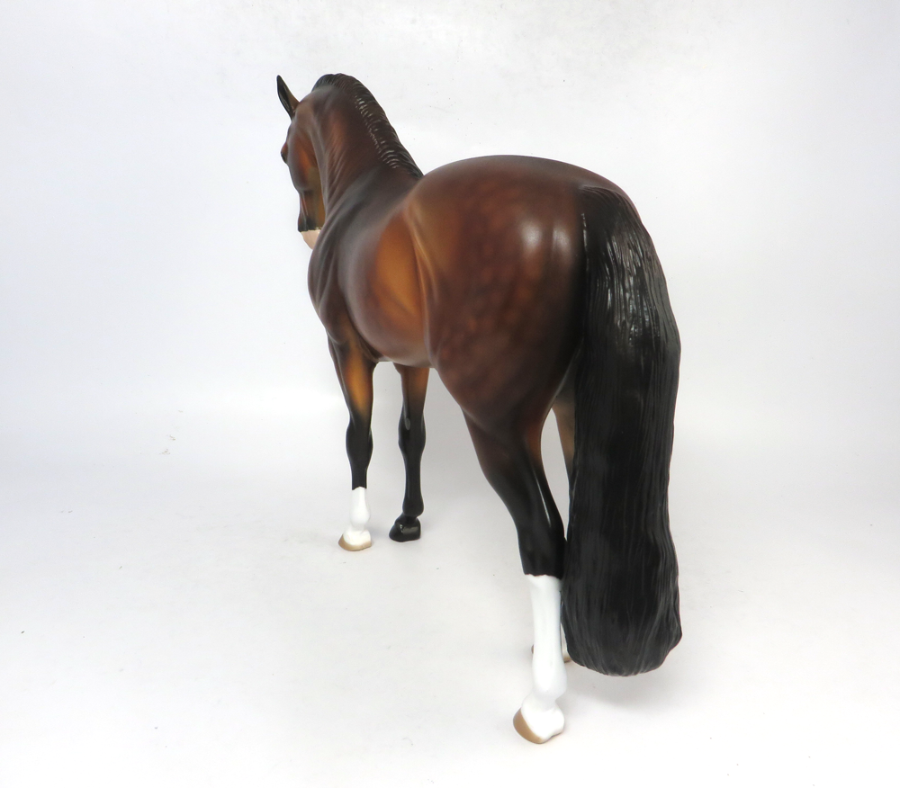 OVERTIME- LE-8 BAY ANDALUSIAN BY AUDREY DIXON SB19