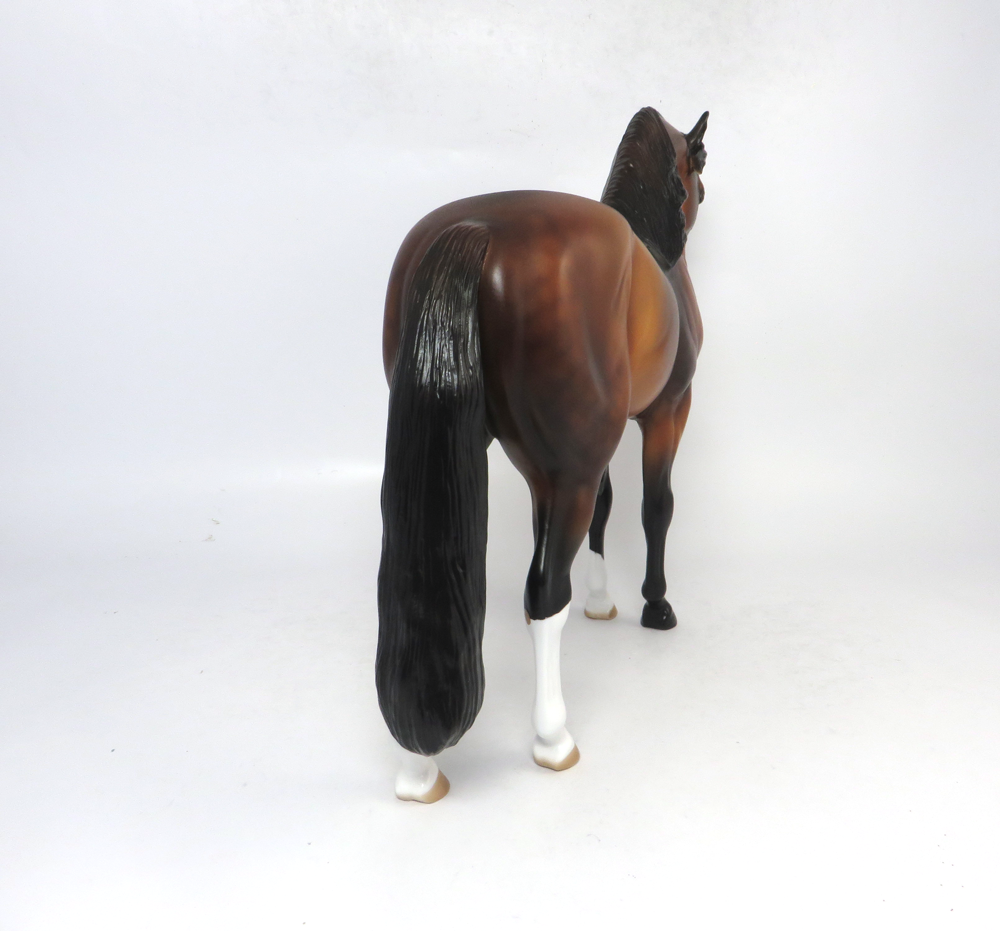 OVERTIME- LE-8 BAY ANDALUSIAN BY AUDREY DIXON SB19