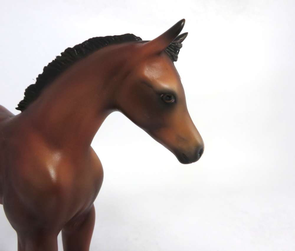 CHAMPION- PRE- ORDER LE-10  BAY RIBICANO ARABAIN FOAL CUSTOM BY AUDREY DIXON SB19