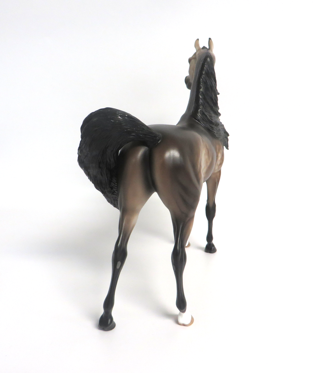 JOHNNY TREMAN- OOAK BAY GOING GREY ARABIAN BY SHERYL LEISURE 3-15-19